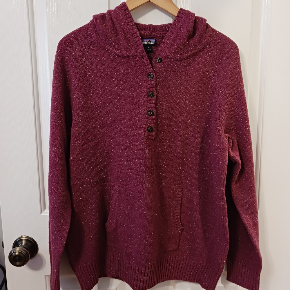 Patagonia Women's Raspberry Hooded Sweater